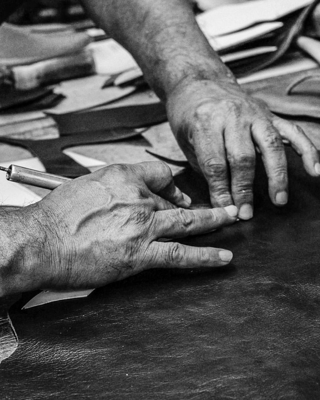 MAURAS proceso detalle a detalle